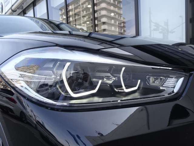 ＢＭＷ Ｘ２ Ｓドライブ１８Ｉ ＭスポーツＸ ＤＣＴ H30年 (近畿) 99