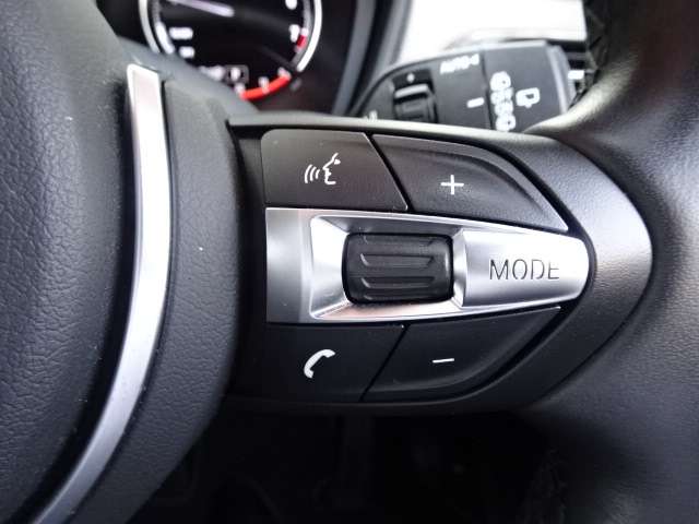 ＢＭＷ Ｘ２ Ｓドライブ１８Ｉ ＭスポーツＸ ＤＣＴ H30年 (近畿) 99