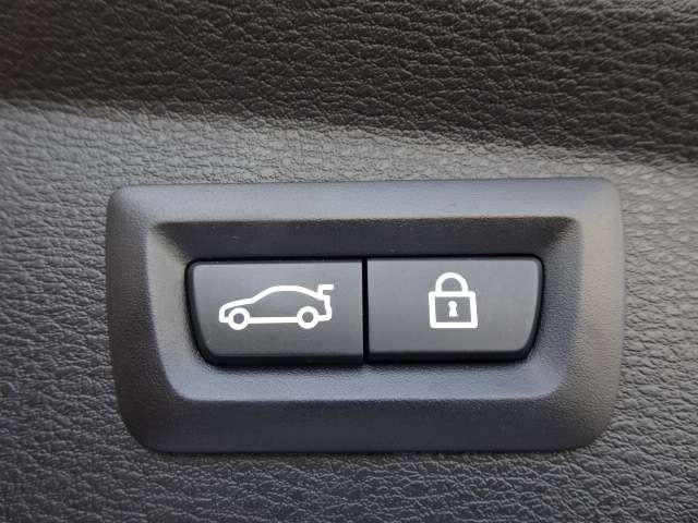 ＢＭＷ Ｘ２ Ｓドライブ１８Ｉ ＭスポーツＸ ＤＣＴ H30年 (近畿) 99