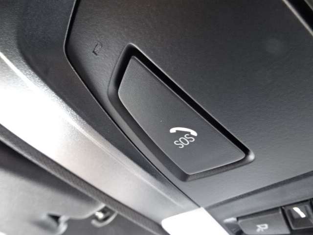 ＢＭＷ Ｘ２ Ｓドライブ１８Ｉ ＭスポーツＸ ＤＣＴ H30年 (近畿) 99