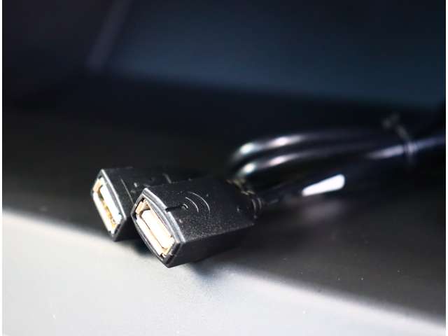 スバル ＢＲＺ ２．４ Ｓ R5年 (関東) 99