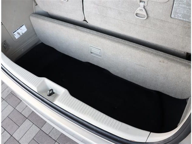 トヨタ エスティマ ２．４ Ｇ H19年 (関東) 99