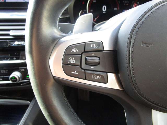 ＢＭＷ ５シリーズ ５２３ｉ　Ｍスポーツ H30年 (近畿) 99