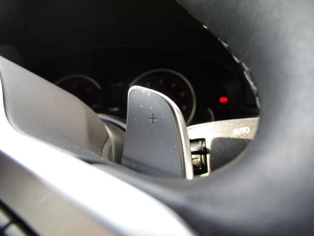 ＢＭＷ ５シリーズ ５２３ｉ　Ｍスポーツ H30年 (近畿) 99