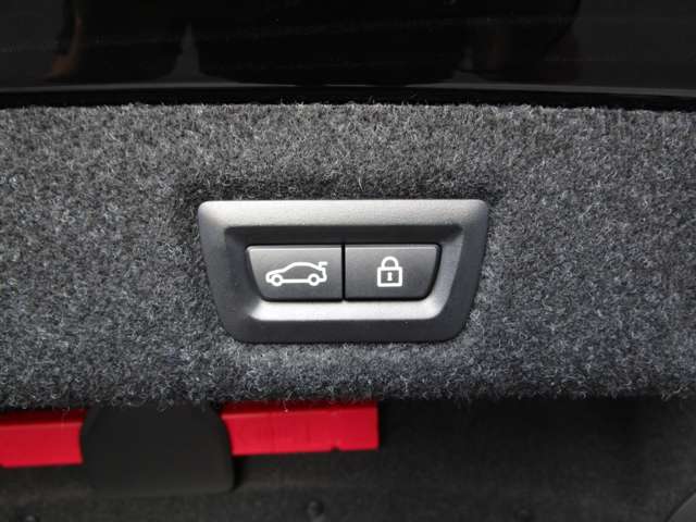 ＢＭＷ ５シリーズ ５２３ｉ　Ｍスポーツ H30年 (近畿) 99