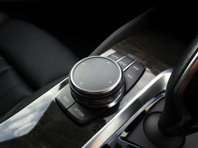 ＢＭＷ ５シリーズ ５２３ｉ　Ｍスポーツ H30年 (近畿) 99