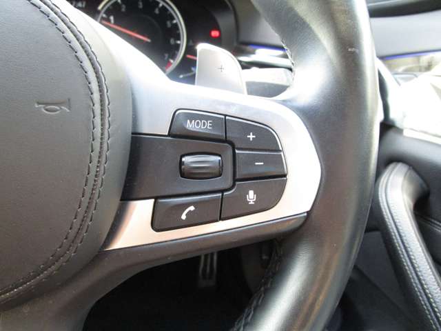 ＢＭＷ ５シリーズ ５２３ｉ　Ｍスポーツ H30年 (近畿) 99