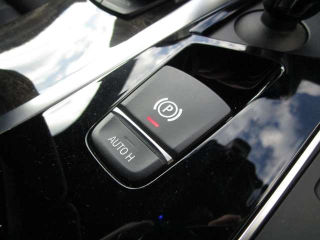 ＢＭＷ ５シリーズ ５２３ｉ　Ｍスポーツ H30年 (近畿) 99