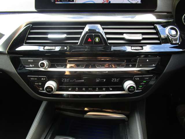 ＢＭＷ ５シリーズ ５２３ｉ　Ｍスポーツ H30年 (近畿) 99