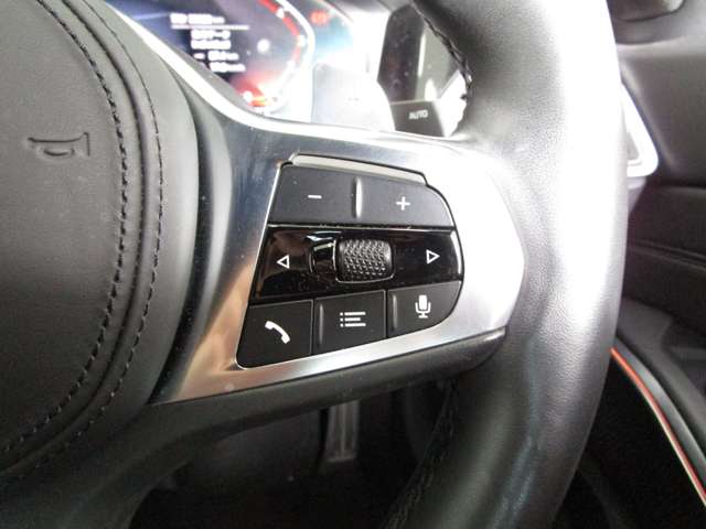 ＢＭＷ ３シリーズ ３２０ｉ　Ｍスポーツ R1年 (近畿) 99