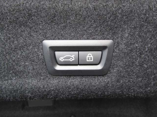 ＢＭＷ ３シリーズ ３２０ｉ　Ｍスポーツ R1年 (近畿) 99