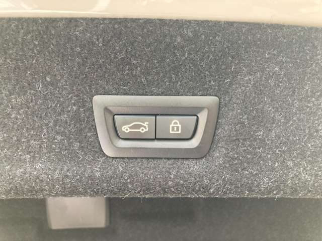 ＢＭＷ ３シリーズ ３２０Ｄ Ｘドライブ ディーゼルターボ ４ＷＤ R1年 (近畿) 99