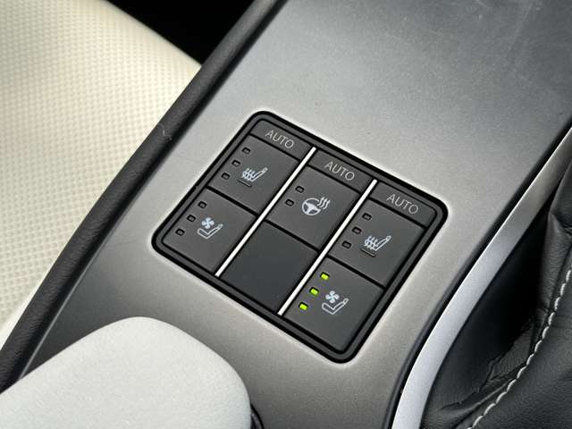 レクサス ＵＸ２００ Ｆスポーツ R4年 (近畿) 99