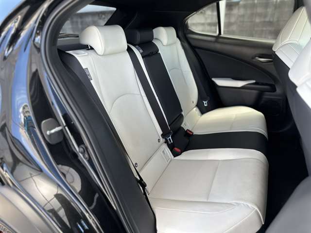 レクサス ＵＸ２００ Ｆスポーツ R4年 (近畿) 99