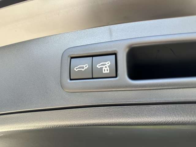 レクサス ＵＸ２００ Ｆスポーツ R4年 (近畿) 99