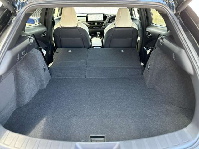 レクサス ＵＸ２００ Ｆスポーツ R4年 (近畿) 99