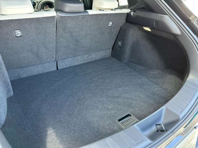 レクサス ＵＸ２００ Ｆスポーツ R4年 (近畿) 99