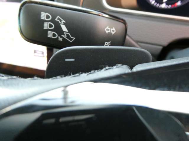 フォルクスワーゲン ゴルフ ＴＤＩ コンフォートライン マイスター ディーゼルターボ R2年 (関東) 99