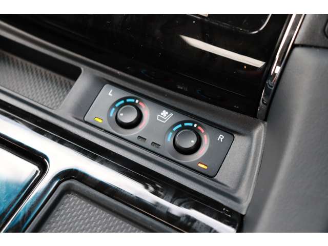 トヨタ アルファード ２．５ Ｓ Ｃパッケージ R5年 (東海) 99