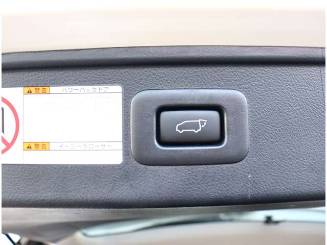 トヨタ アルファード ２．５ Ｓ Ｃパッケージ R3年 (関東) 99