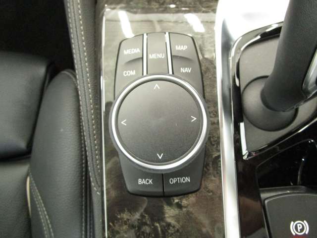 ＢＭＷ ５シリーズ ５２３Ｄ Ｍスポーツ ディーゼルターボ H30年 (近畿) 99