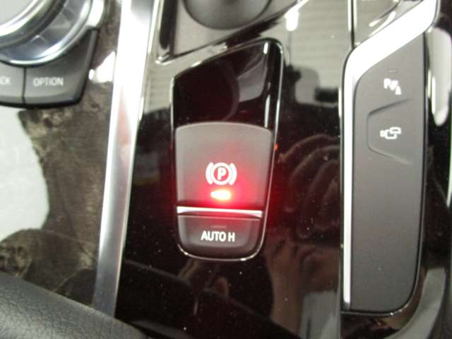 ＢＭＷ ５シリーズ ５２３Ｄ Ｍスポーツ ディーゼルターボ H30年 (近畿) 99