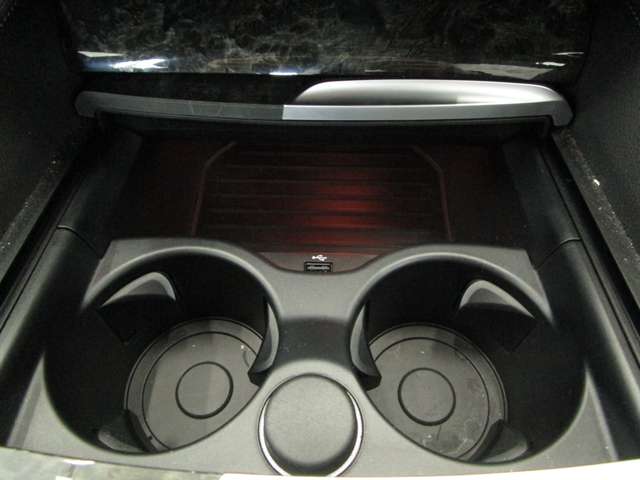 ＢＭＷ ５シリーズ ５２３Ｄ Ｍスポーツ ディーゼルターボ H30年 (近畿) 99