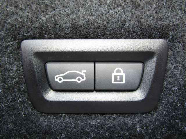 ＢＭＷ ５シリーズ ５２３Ｄ Ｍスポーツ ディーゼルターボ H30年 (近畿) 99