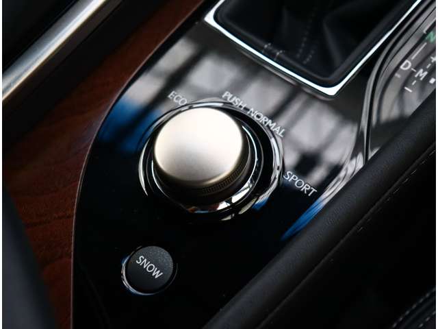 レクサス ＧＳ２５０ Ｉパッケージ H24年 (関東) 99