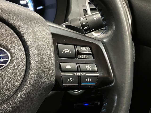 スバル レヴォーグ １．６ ＧＴ－Ｓ アイサイト ４ＷＤ H26年 (北海道) 99