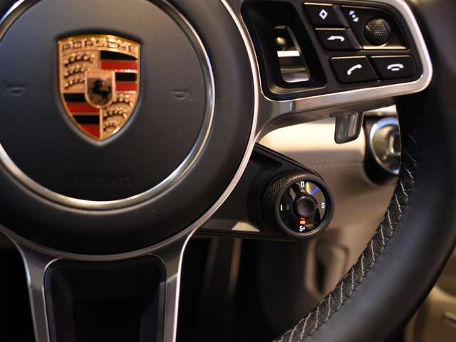 ポルシェ パナメーラ ターボ ＰＤＫ ４ＷＤ H29年 (関東) 99