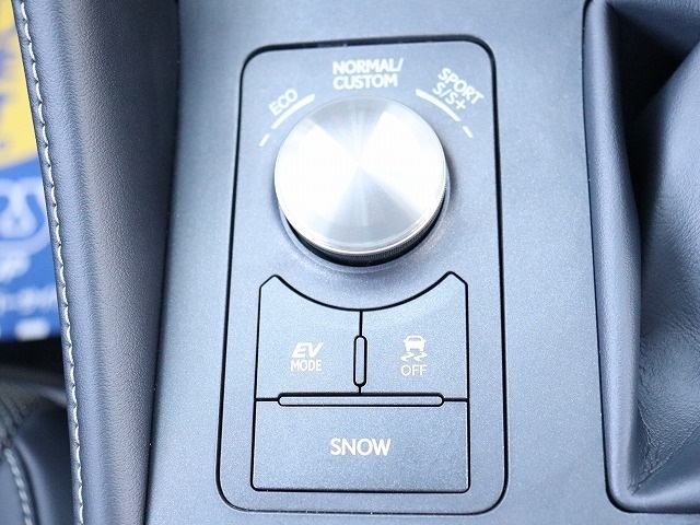 レクサス ＲＣ３００ｈ Ｆスポーツ R1年 (関東) 99