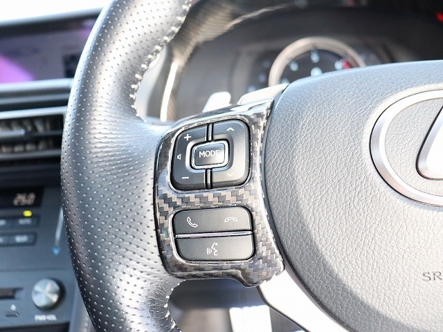 レクサス ＲＣ３００ｈ Ｆスポーツ R1年 (関東) 99