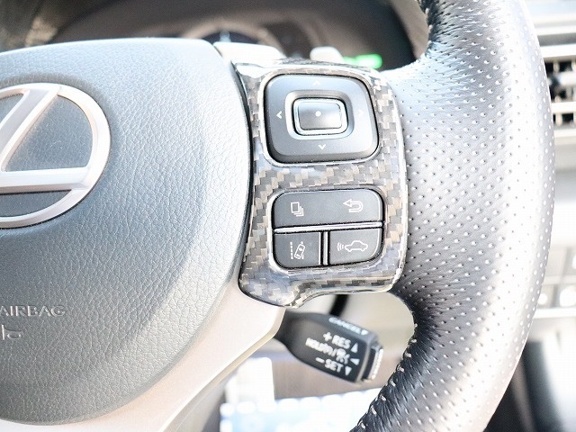 レクサス ＲＣ３００ｈ Ｆスポーツ R1年 (関東) 99