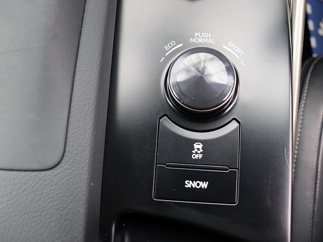 レクサス ＩＳ２５０ ２５０ バージョンＬ H25年 (関東) 99