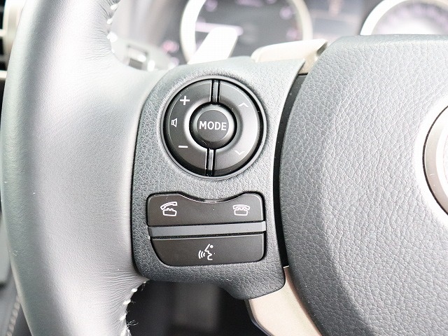 レクサス ＩＳ２５０ ２５０ バージョンＬ H25年 (関東) 99