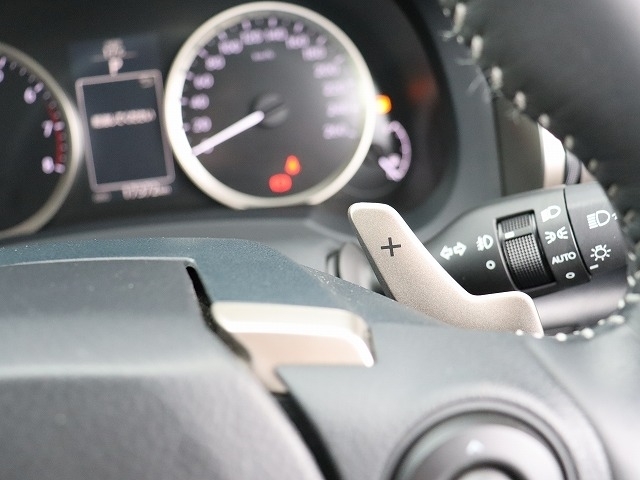 レクサス ＩＳ２５０ ２５０ バージョンＬ H25年 (関東) 99