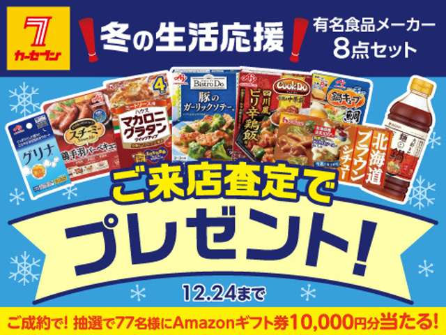 日産 エルグランド ２．５ ２５０ハイウェイスター H22年 (東北) 99
