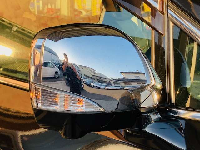 日産 エルグランド ２．５ ２５０ハイウェイスター H22年 (東北) 99