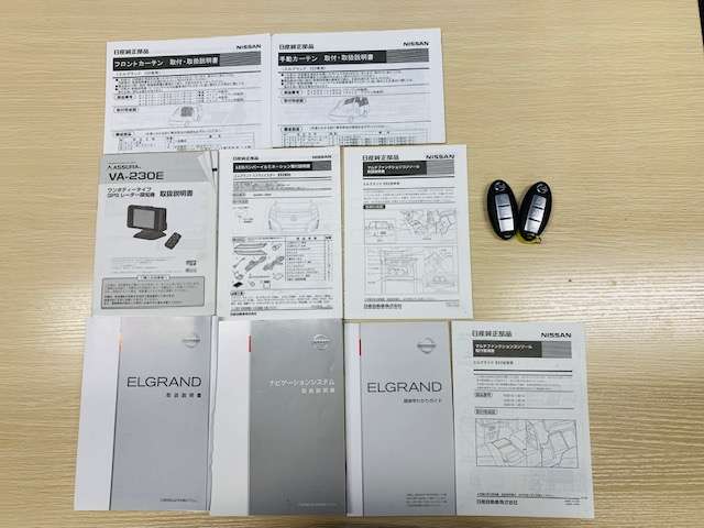 日産 エルグランド ２．５ ２５０ハイウェイスター H22年 (東北) 99
