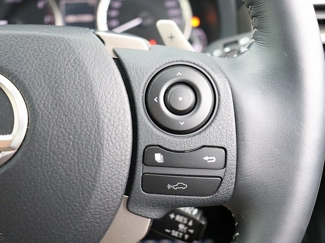 レクサス ＩＳ２５０ ２５０ バージョンＬ H25年 (関東) 99