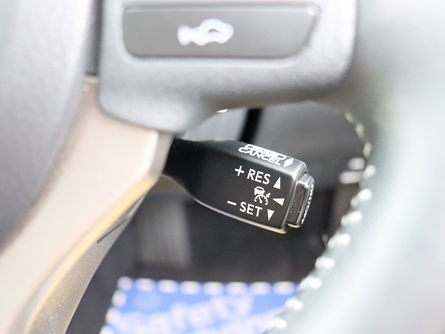 レクサス ＩＳ２５０ ２５０ バージョンＬ H25年 (関東) 99