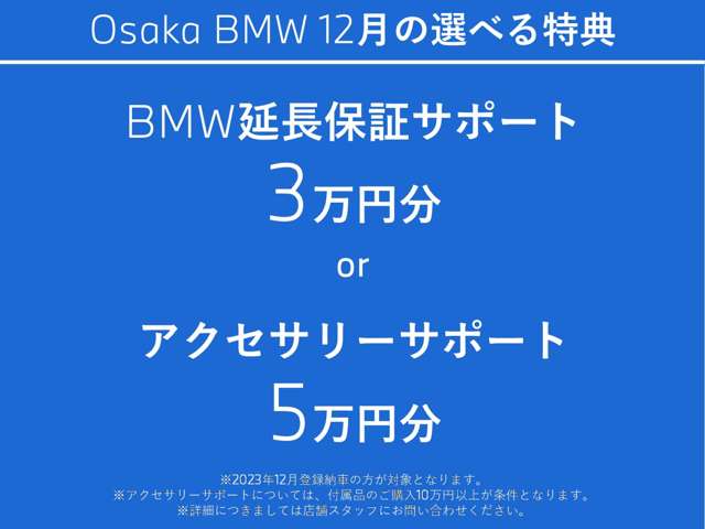 ＢＭＷ ５シリーズ ５２３ｉ　Ｍスポーツ H30年 (近畿) 99