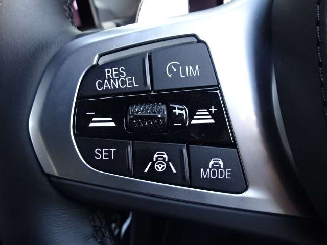 ＢＭＷ Ｘ３ Ｘドライブ２０Ｄ Ｍスポーツ ディーゼルターボ ４ＷＤ R5年 (近畿) 99