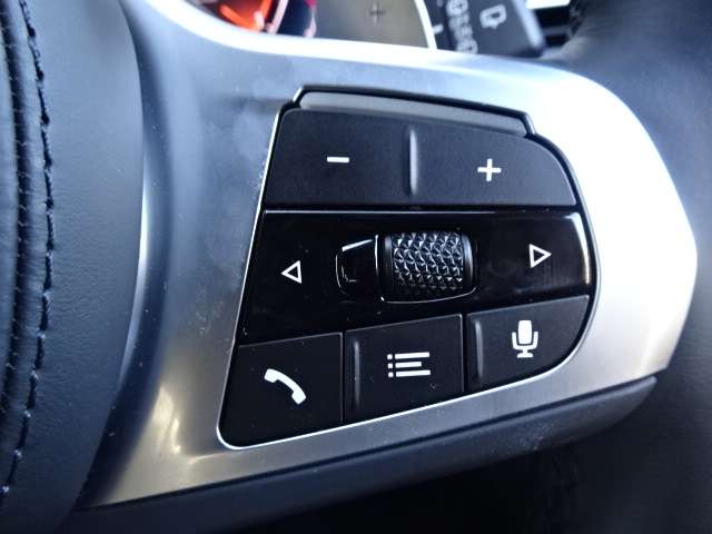 ＢＭＷ Ｘ３ Ｘドライブ２０Ｄ Ｍスポーツ ディーゼルターボ ４ＷＤ R5年 (近畿) 99