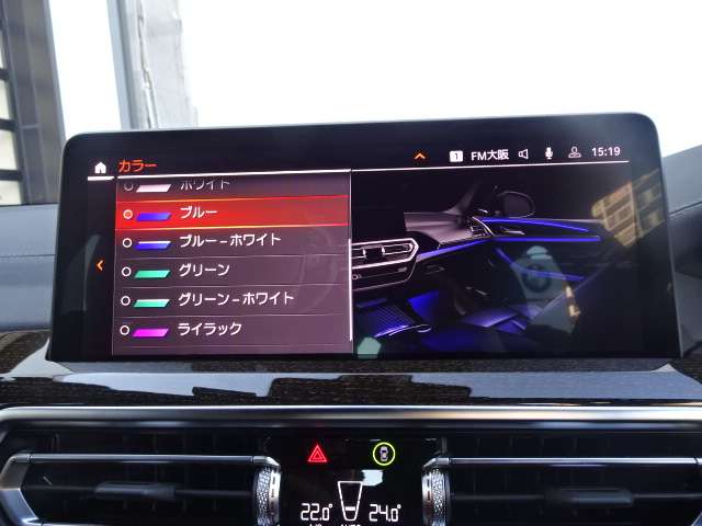 ＢＭＷ Ｘ３ Ｘドライブ２０Ｄ Ｍスポーツ ディーゼルターボ ４ＷＤ R5年 (近畿) 99