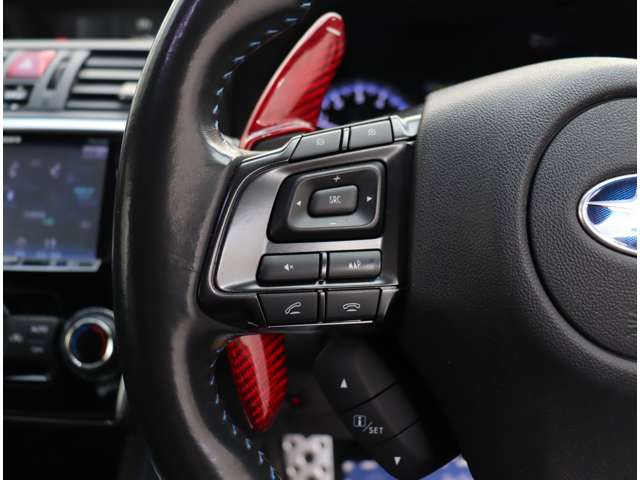 スバル レヴォーグ １．６ ＧＴ－Ｓ アイサイト ４ＷＤ H27年 (関東) 99