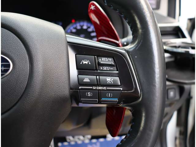 スバル レヴォーグ １．６ ＧＴ－Ｓ アイサイト ４ＷＤ H27年 (関東) 99