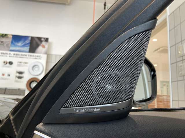 ＢＭＷ ５シリーズ ５２３Ｄ エディション ＭＩＳＳＩＯＮ ＩＭＰＯＳＳＩＢＬＥ ディーゼルターボ H30年 (近畿) 99