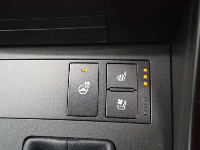 レクサス ＩＳ３５０ Ｆスポーツ　モードブラック R3年 (関東) 99